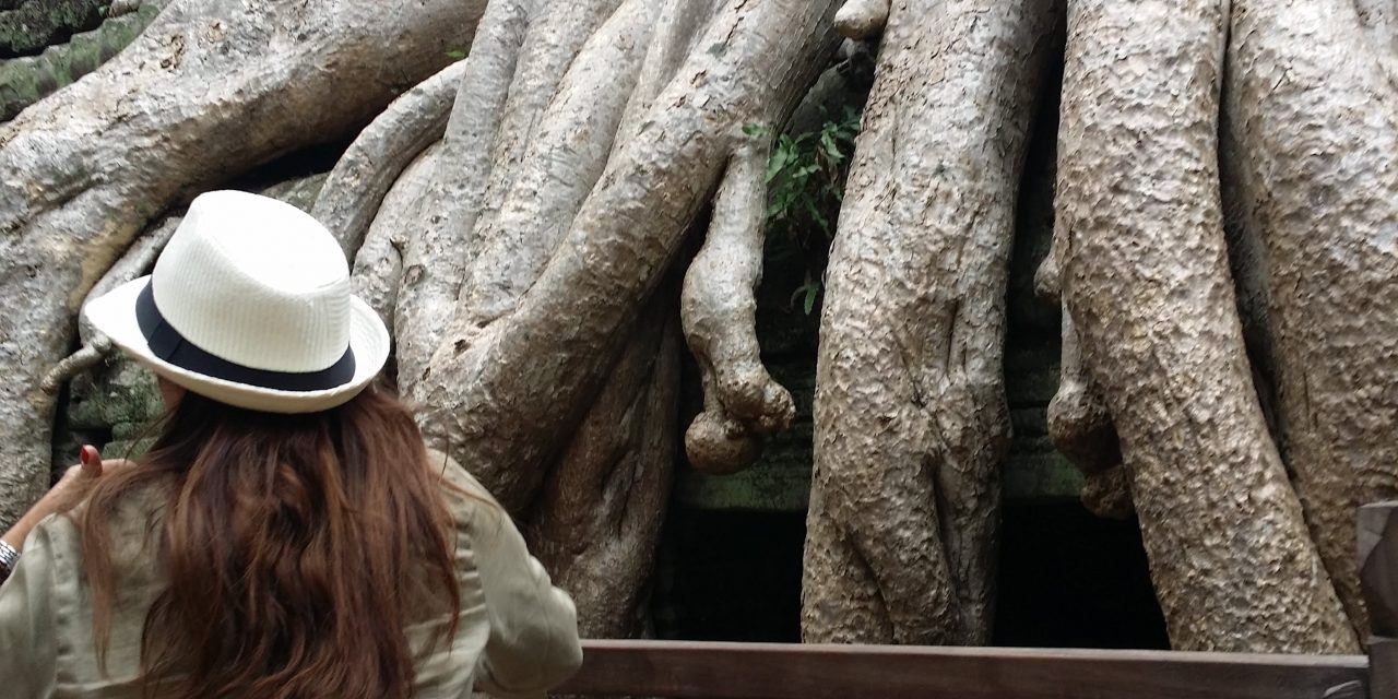 ¿La edad como valor añadido?